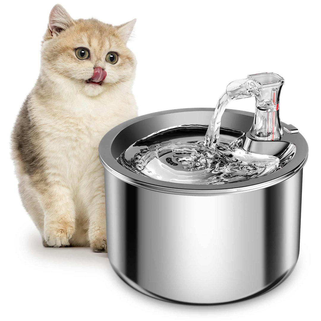 Automatic Water Fountain