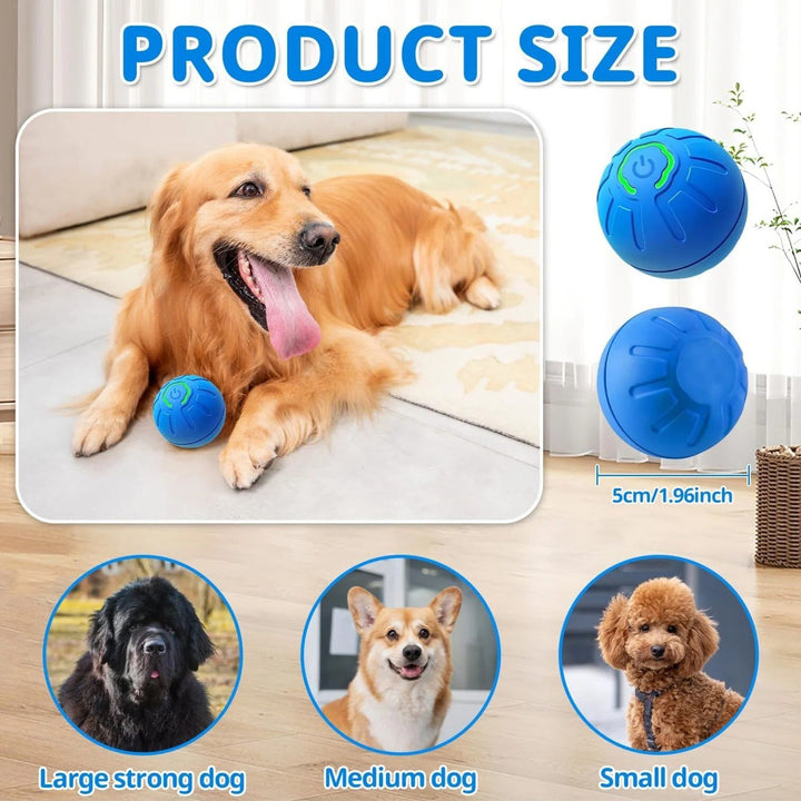 PawMotion Orb